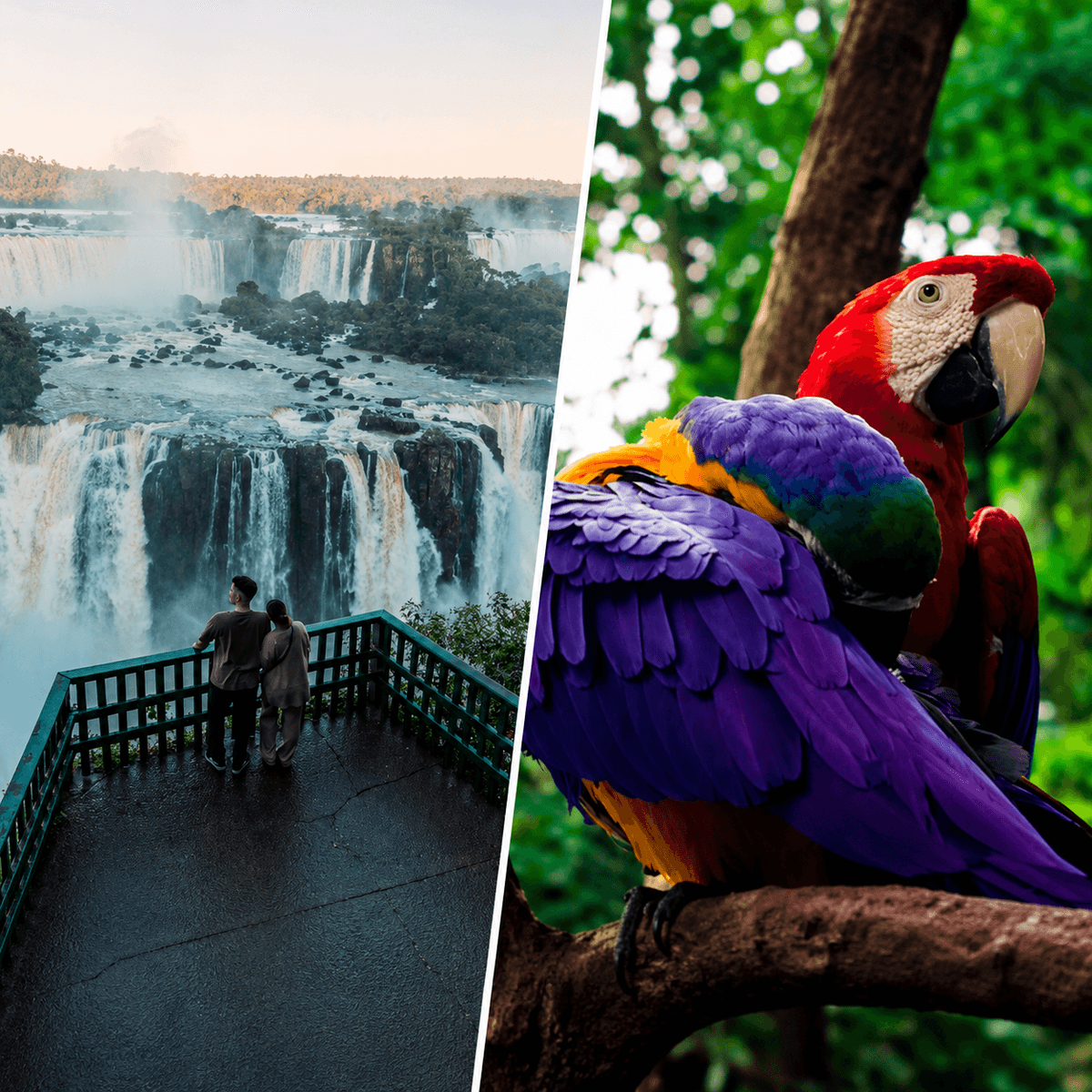 Cataratas do Iguaçu e Parque das Aves